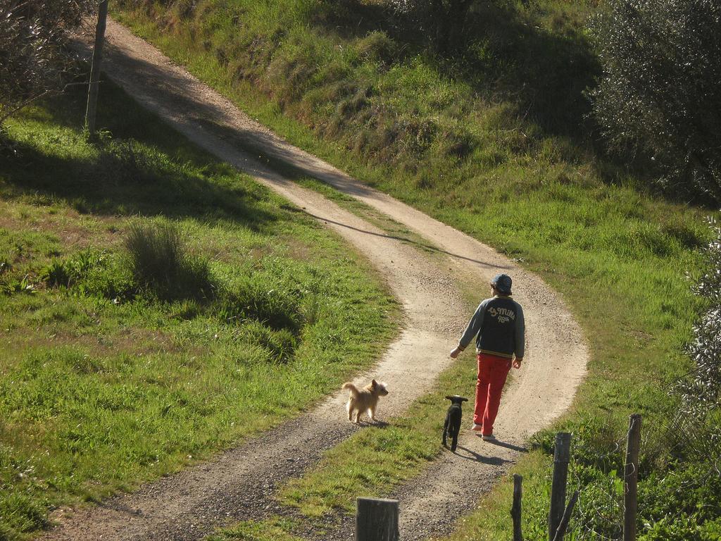 Monte Da Courela Hotel Malarranha Kültér fotó