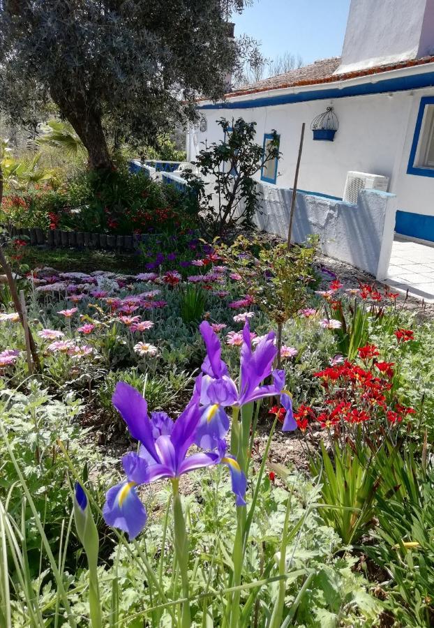 Monte Da Courela Hotel Malarranha Kültér fotó